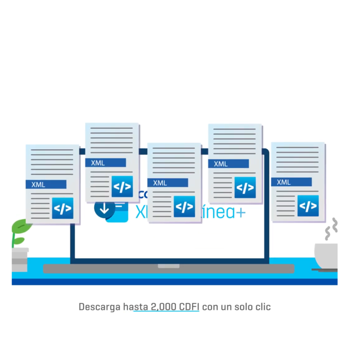 Organiza tus XML sin complicaciones 📂